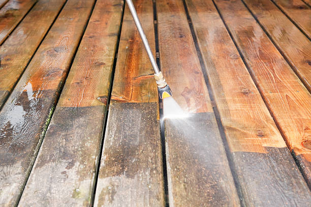 Best Roof Washing  in Minneola, FL